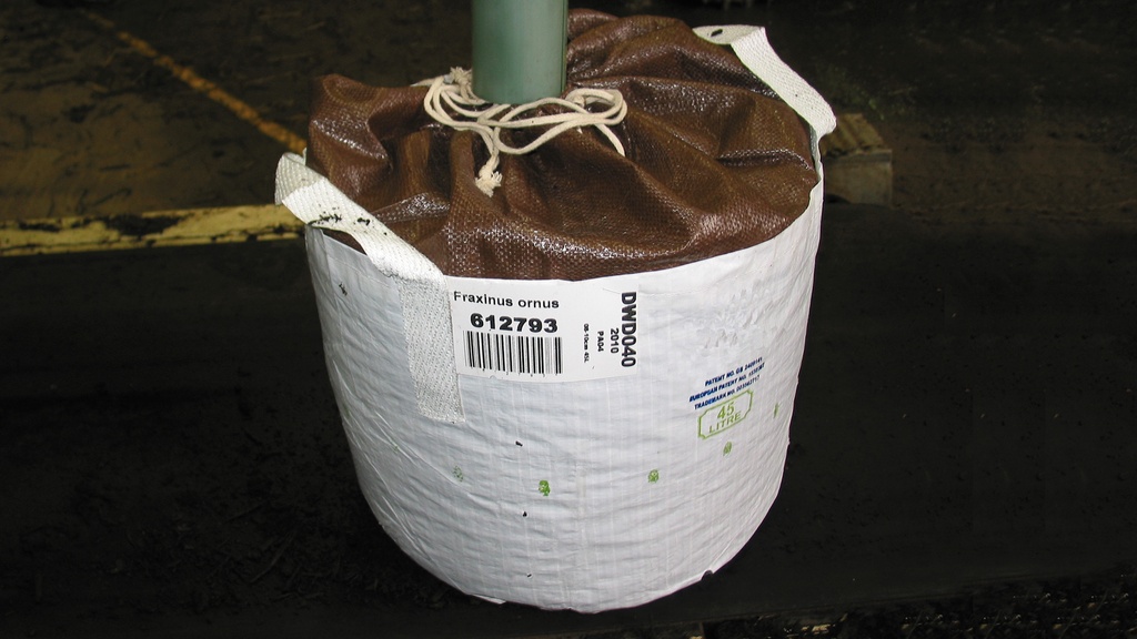 Baumschulcontainer White Bag 45 lt