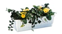 Blumenkasten VENEZIA weiss 60 cm, inkl. Wasserstandsanzeiger