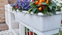 Blumenkasten VENEZIA weiss 100 cm, inkl. Wasserstandsanzeiger