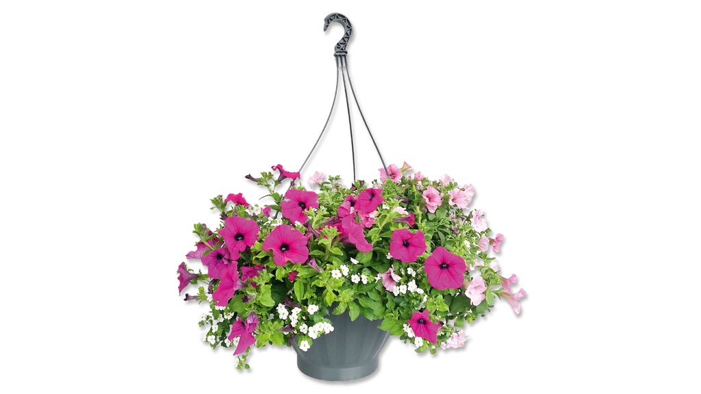 Blumenampeln ROYAL-TOP blau, 20 cm ø