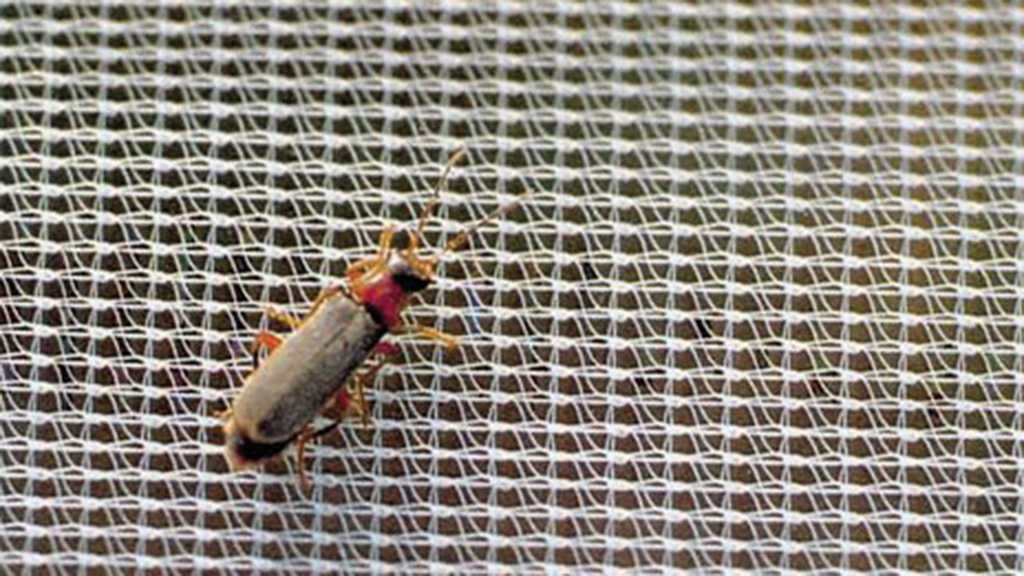 135.600_Kulturschutznetz FILBIO, 100 m lang, 220 cm breit