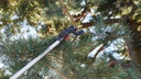 Teleskopschere FELCO 290, Länge 168-267 cm