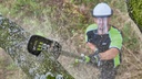 EGO Teleskop-Hochentaster PS1000E, ohne Verlängerungsstange, Akku und Ladegerät