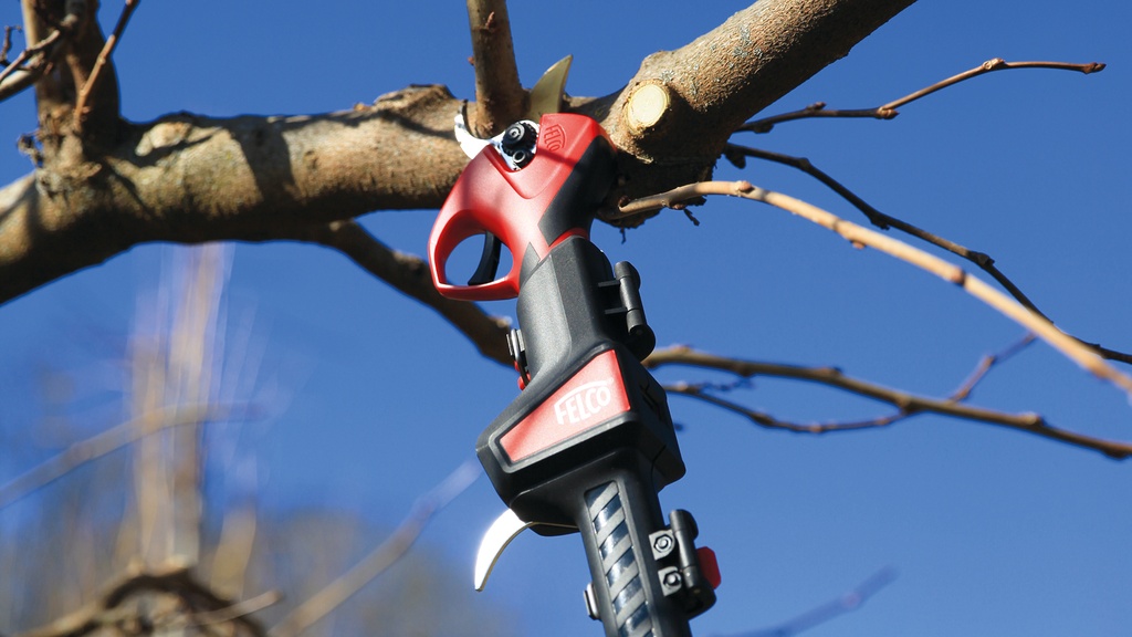 Teleskopstange für Akku-Gartenschere FELCO 834W