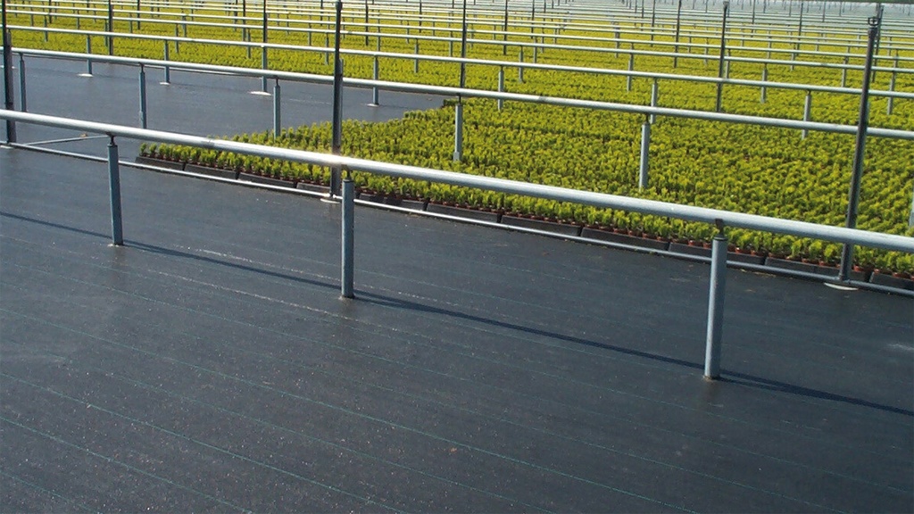 Bändchengewebe PHORMISOL 137, 132 g/m2, 100 m, 525 cm breit