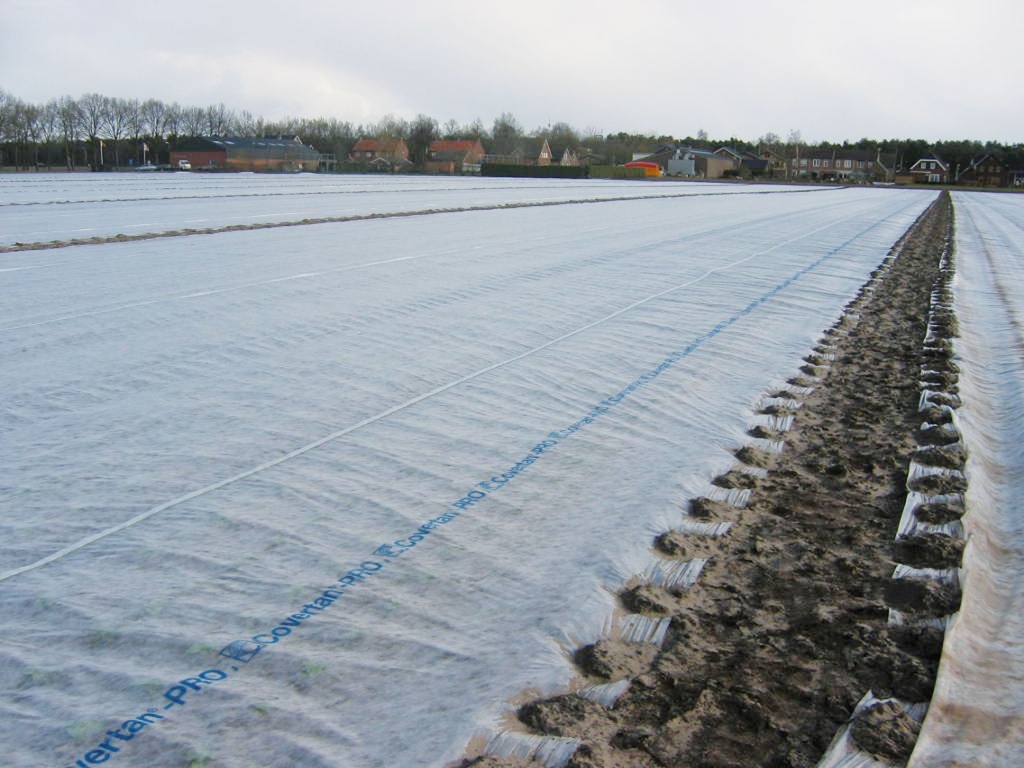 Abdeck­vlies COVERTAN PRO 17 g/m2, 250 m lang, 410 cm breit