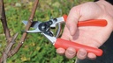 Baumschere FELCO 12, 20 cm lang