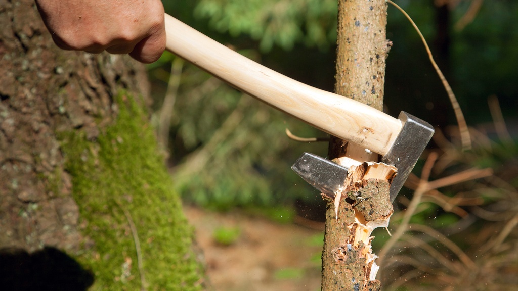 Gartenbeil, Hickory-Kuhfuss-Stiel 36 cm, Kopfgewicht 330 g