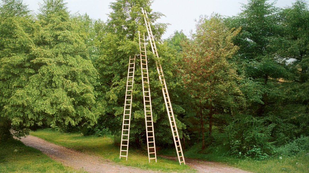 Baumleiter GUBLER aus Holz, 27 Sprossen, 7.35 m