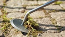 Gartendisk (Unkrautmesser)