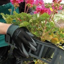 282.570.09_Floristenhandschuh SHOWA PALM FIT schwarz, Grösse 9