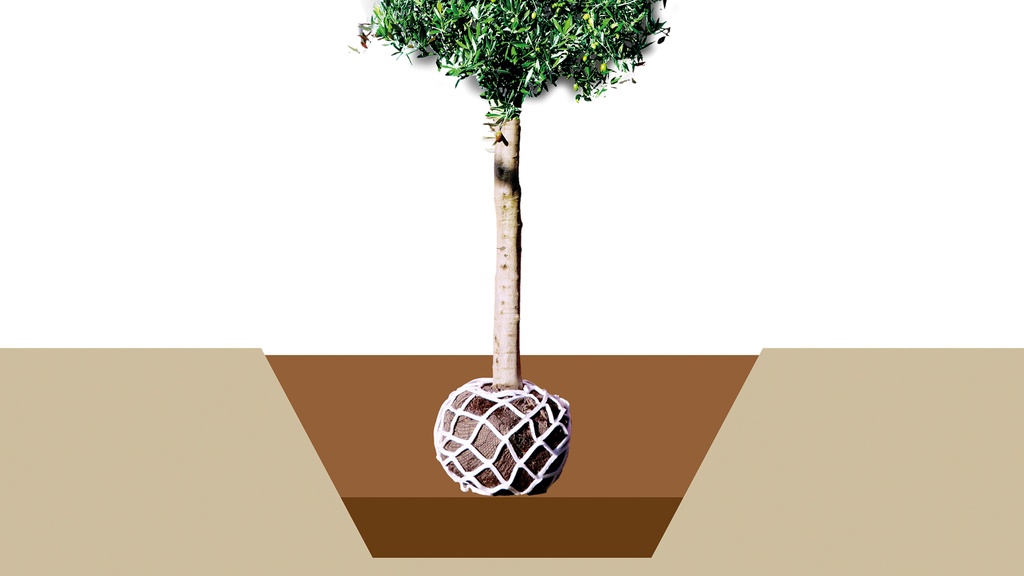 202.740.1_Vlies-Anwachsnetz LITE-NET BIO1 M, 110x70 cm