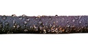 150.580_Tröpfchenbewässerungschlauch, 50 lfm
