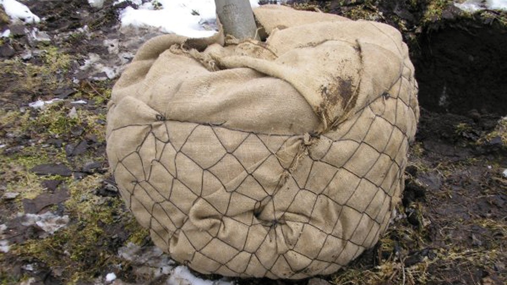 Ballierungsnetz aus Draht, Ø 110 cm (No. 6), Pack à 25 Stk.