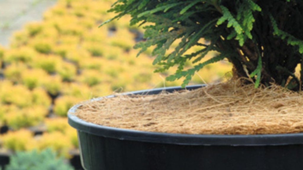 Mulchscheibe 850 g/m2, Ø 19 cm