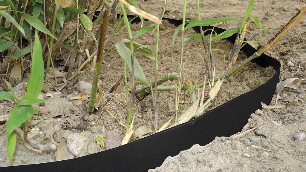 Rhizomsperre HDPE 2 mm, 25 m lang, 100 cm breit