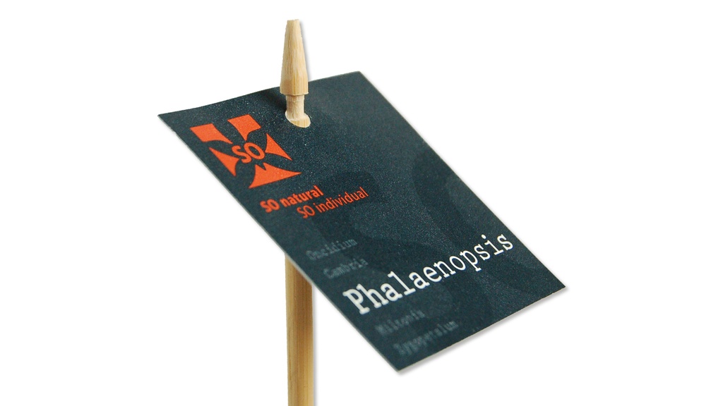 Etikettenstab «Bambus» 27 cm