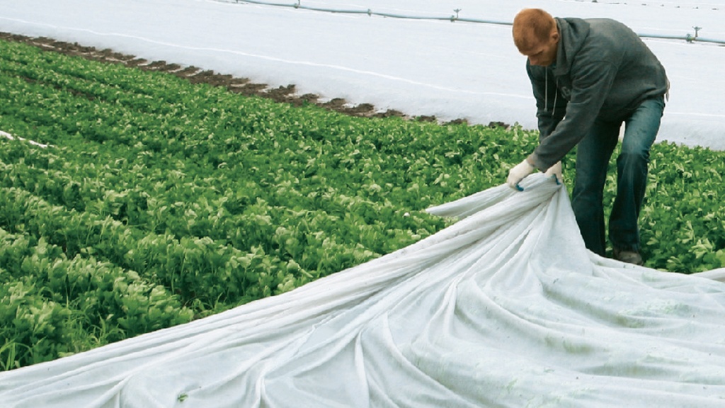 Toison de bâche LUTRASIL PRO 19 g/m², longueur 250 m, largeur 425 cm