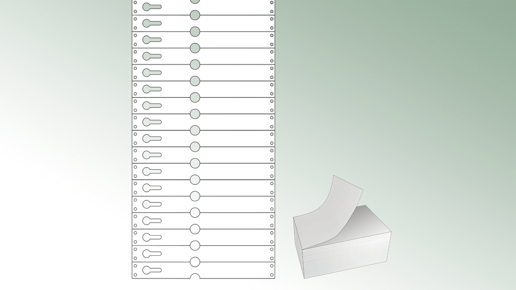 TYVEK®-Schlaufenetiketten weiss, 220 x 25.50 mm, Pack à 1'000 Etiketten