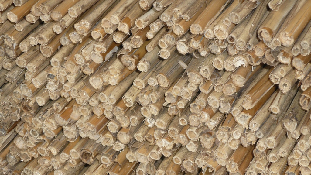 Schilfrohrmatte 220 cm breit, Rolle à 6 m