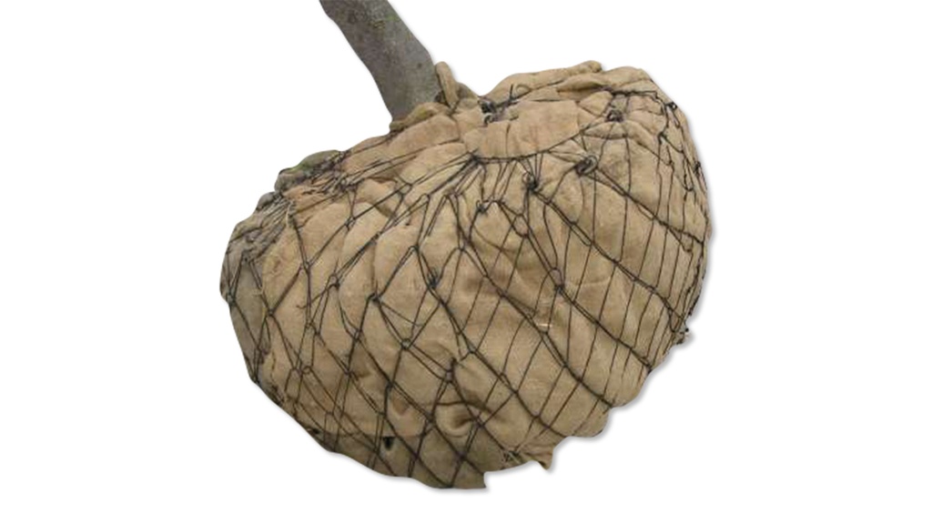 Ballierungsnetz aus Draht, Ø 90 cm (No. 5), Pack à 25 Stk.