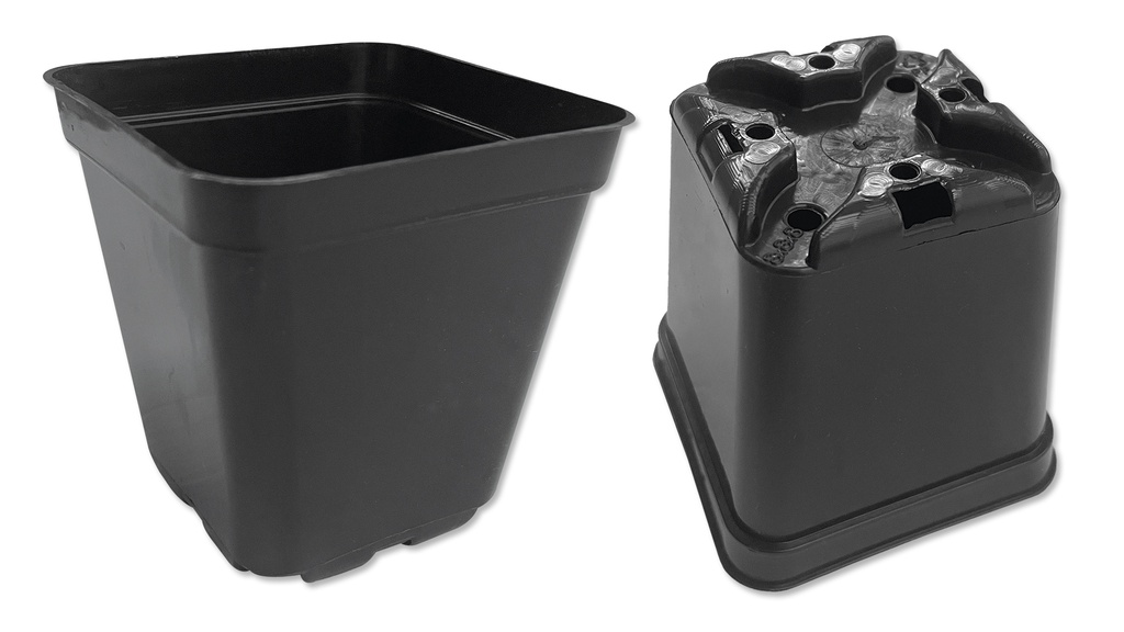 Kakteen-Container schwarz 8 x 8 x 8 cm, 1925 Stück