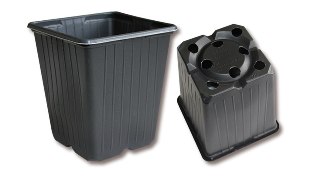 Pot carré DESCH 5° noir 10 x 10 x 11 cm, 1280 pièces