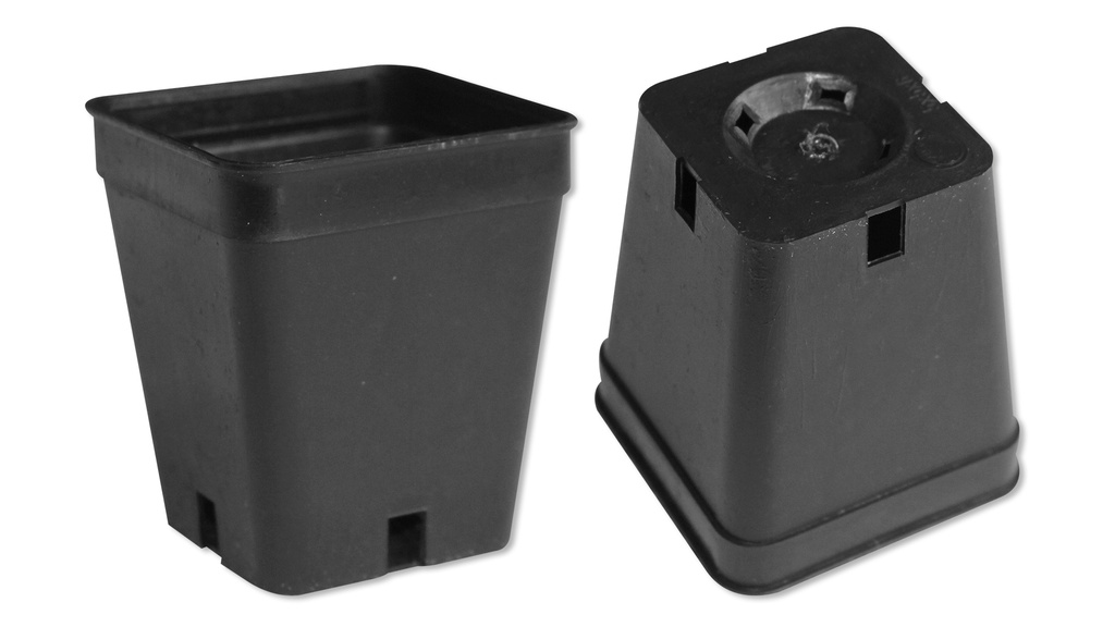 Kakteen-Container schwarz 5 x 5 x 6 cm, 2700 Stück