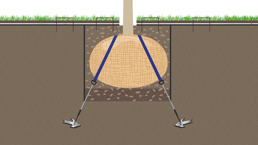 Ancrage de motte avec ancres, hauteur de l'arbre de 2-4.5 m
