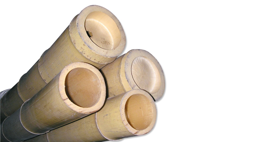 Bâtons de bambou pour la décoration 300 cm ø 80/100 mm, écru