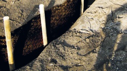 [202.766] Rideau de racines LITE-Rootprotect L, largeur 80 cm, rouleau de 5 m