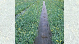 [201.190] Treillis soudé en plastique largeur 118 cm, 170x150 mm