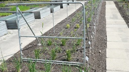 [201.080] Stützen für Schnittblumen-Drathgeflechte als Zwischenstütze