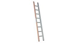 [205.100] Anlegeleiter aus Aluminium, 10 Sprossen, 2.99 m lang