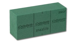[231.405] OASIS® IDEAL brique de mousse, 35 briques