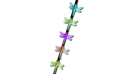 Orchideen Clip Libelle Farbe gelb