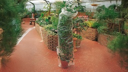 [453.060] Schlauchfolie transparent, 60 cm breit Rolle à 290 m