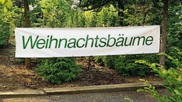 [428.611] Banden-Werbeplane mit Lagertext